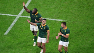 'Wrecking ball' Ox acclaimed after Springboks make World Cup final