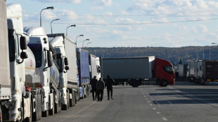 'Economic pressure': Ukrainian truckers queue for days to enter Poland