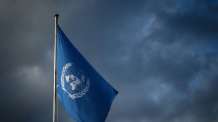 ONU destituye a funcionario chileno tras un a&ntilde;o de investigaci&oacute;n interna