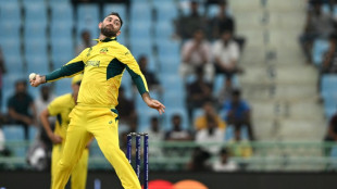 Australia coach says big-hitter Maxwell has key World Cup bowling role