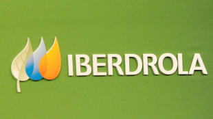 Regulador de M&eacute;xico multa por USD 467 millones a espa&ntilde;ola Iberdrola