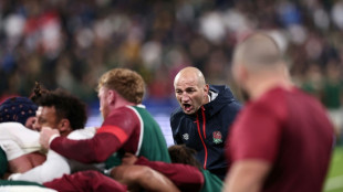 'Disappointed' Borthwick hails England despite semi-final loss to South Africa