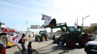 S&eacute;cheresse: des agriculteurs en col&egrave;re ont bloqu&eacute; les ports de Bastia et Ajaccio
