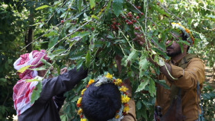 "Gahwa", el caf&eacute; saudita en busca de reconocimiento internacional