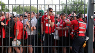 Stade de France: "grave pr&eacute;judice &agrave; l'image de la France", selon un rapport gouvernemental 