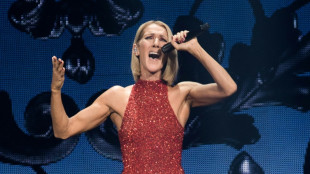C&eacute;line Dion, la diva renaissante
