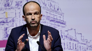 Mort de Quentin Deranque: les Insoumis, mis en cause, tentent de se distancier