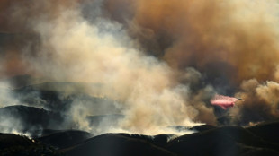 Dans le ciel de Los Angeles, avions-citernes et h&eacute;licopt&egrave;res luttent contre les flammes