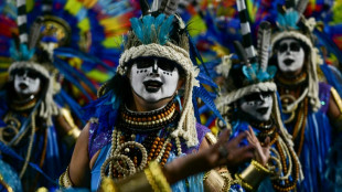 Homenaje a Lula abre Carnaval de Rio en medio de cr&iacute;ticas