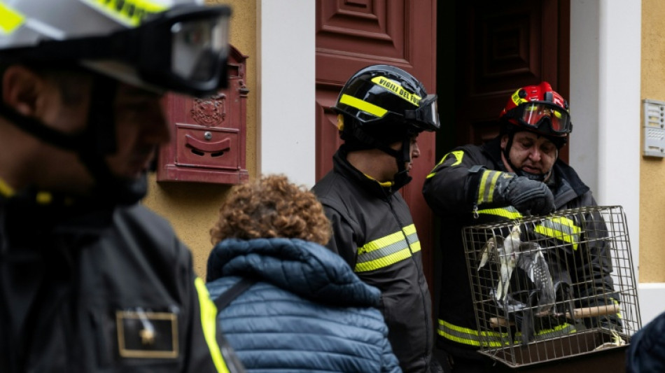 En Sicile, des perroquets mis &agrave; l'abri apr&egrave;s le spectaculaire glissement de terrain