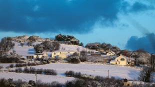 Ondata di neve e gelo nel Regno Unito, disagi nei trasporti