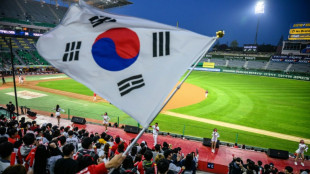 South Korean baseball put on hold after fan killed at stadium
