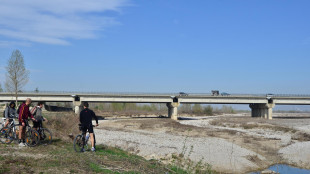 Bimba di 10 anni dispersa sul Piave, ricerche in corso