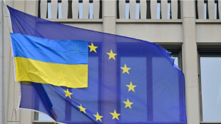 Ukraine: l'UE d&eacute;cide un embargo sur le charbon russe