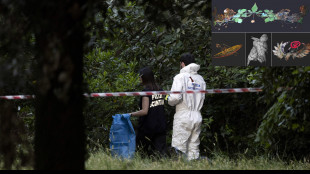 Tg1, fermato in Grecia presunto assassino di Villa Phampili