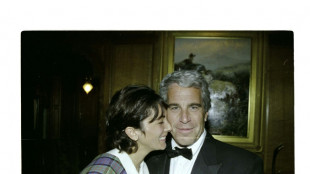 US House committee releases batch of 'Epstein files'