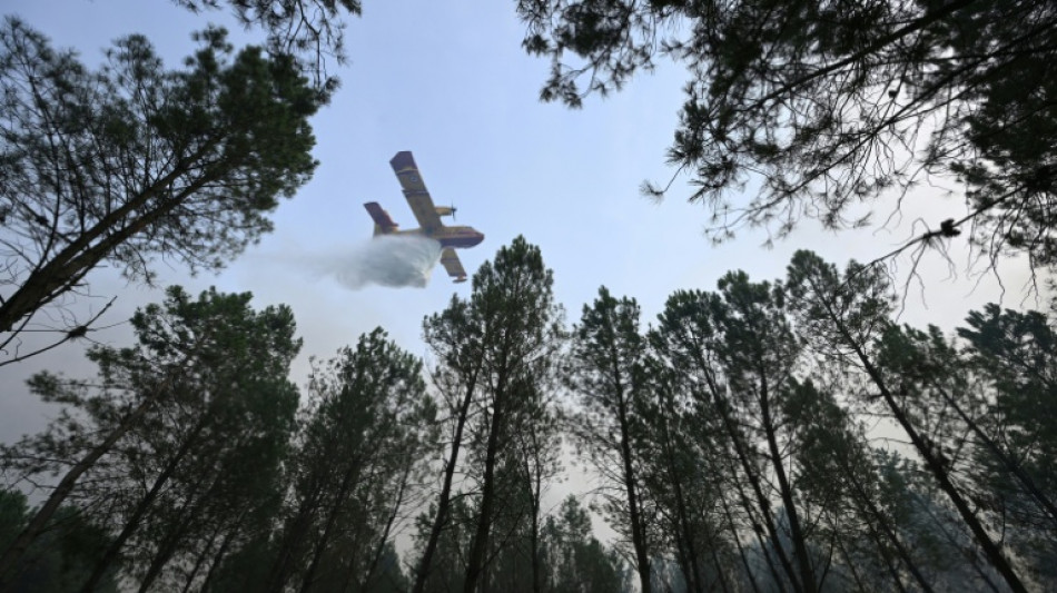 Incendie dans les Landes: les moyens se concentrent sur la reprise de feu nocturne