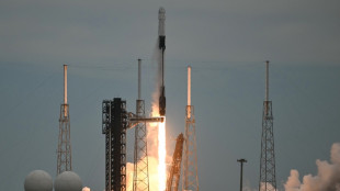 Musk's SpaceX results lift global stock markets