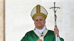 El papa Le&oacute;n XIV celebra "avances significativos" hacia la paz en Gaza