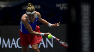 Czechs rout champions Swiss in BJK Cup finals opener
