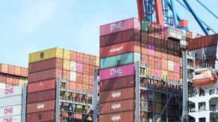 Trumps Zollpolitik: Deutsche Exporte in die USA eingebrochen