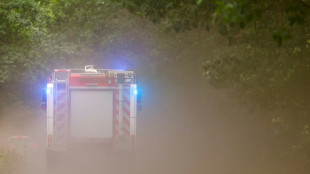 Gro&szlig;einsatz der Berliner Feuerwehr im Grunewald