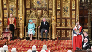 Pr&iacute;ncipe Carlos reemplaza por primera vez a Isabel II en el altamente simb&oacute;lico "discurso del trono"