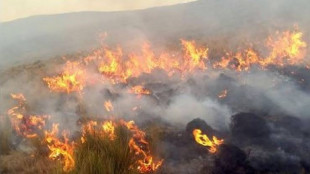 Emergenza incendi in Perù, distrutti 3.300 ettari