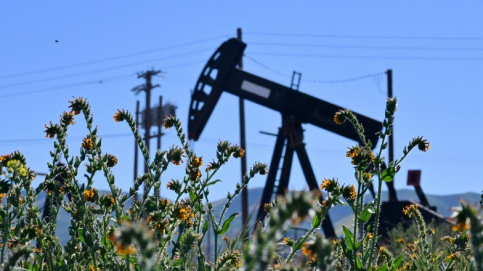 Crude plunges, stocks rally as Trump says war over 'very soon'