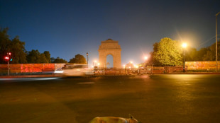 India's fat dog vote goes viral