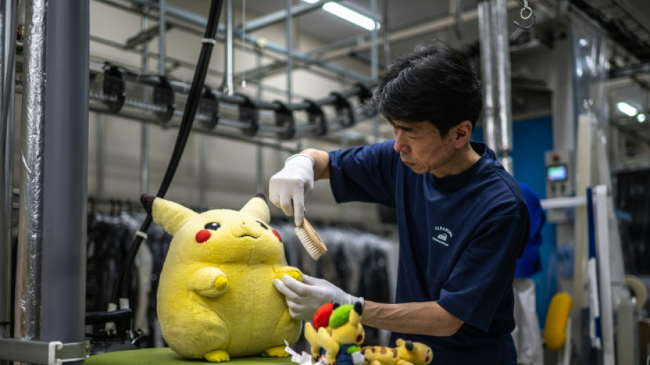 Empresa de limpeza viraliza no Jap&atilde;o por servi&ccedil;o de 'spa para pel&uacute;cias'