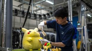 Empresa de limpeza viraliza no Jap&atilde;o por servi&ccedil;o de 'spa para pel&uacute;cias'