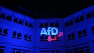 Allemagne : l'AfD expuls&eacute;e de son QG mais obtient un sursis jusqu'&agrave; fin 2026