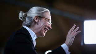 Weidel will EU Kompetenzen nehmen - und zur "Festung Europa" ausbauen