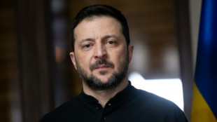 Zelenski llega a los Emiratos &Aacute;rabes Unidos