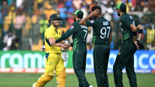 Warner blocked by 'bison' in World Cup escape