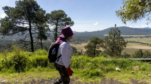 Inician la b&uacute;squeda de m&aacute;s de un centenar de desaparecidos en una zona boscosa de Ciudad de M&eacute;xico