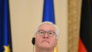 Steinmeier bekr&auml;ftigt Initiative f&uuml;r soziale Pflichtzeit