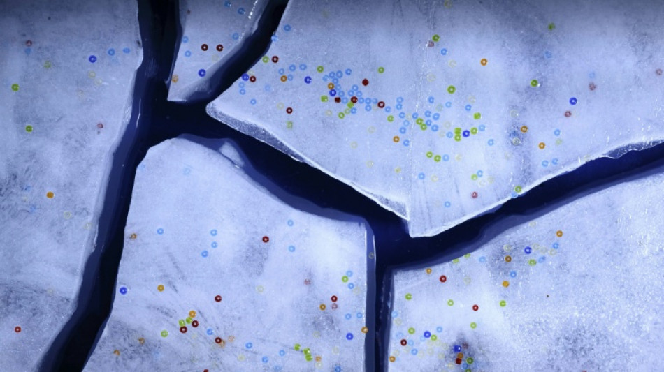 Sp&uuml;lschw&auml;mme sind schuld: Abwasch per Hand setzt tonnenweise Mikroplastik frei