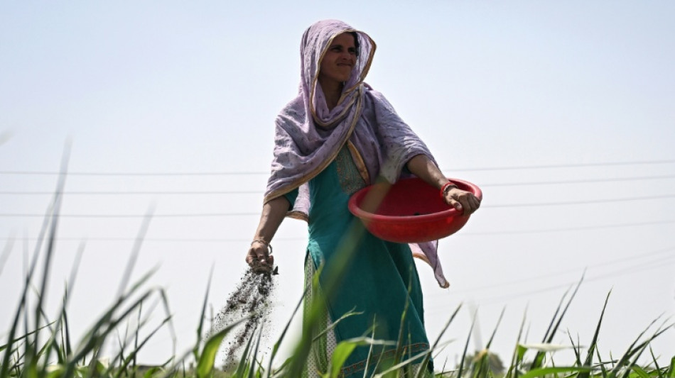 India eyes biofertilisers after Mideast war stoked supply fears