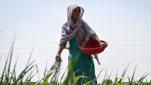 India eyes biofertilisers after Mideast war stoked supply fears