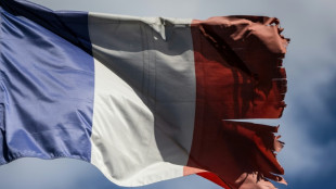 Economia da Fran&ccedil;a 'perde f&ocirc;lego' antes de ano eleitoral incerto