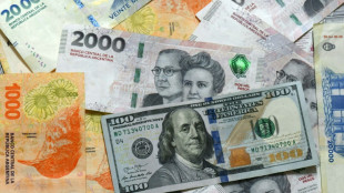 Argentinien erhält Hilfspakete in Höhe von insgesamt bis zu 32 Milliarden Dollar