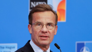 Schweden fordert teilweise Aussetzung des EU-Assoziierungsabkommens mit Israel