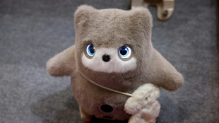 AI toys look for bright side after troubled start
