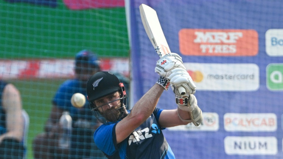 Williamson relishing 'special' India semi-final