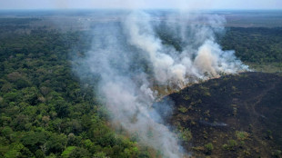 Los incendios en la Amazon&iacute;a brasile&ntilde;a baten un r&eacute;cord para un primer semestre en 20 a&ntilde;os
