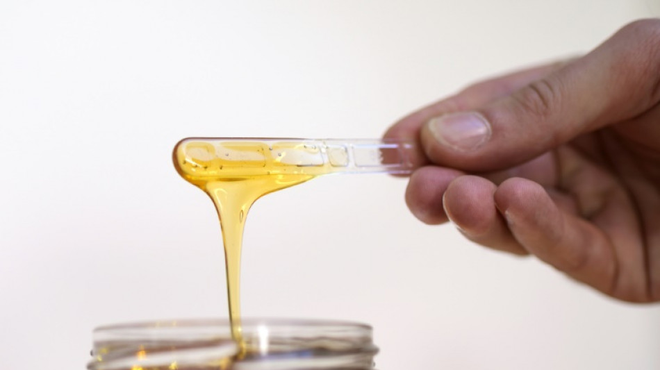 Potenzhonig: Rentnerin mit 35 Kilogramm Schmuggelgut an Flughafen K&ouml;ln erwischt