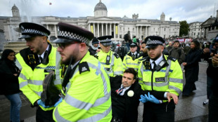 Royaume-Uni: l'interdiction critiquée d'un groupe propalestinien devant la justice