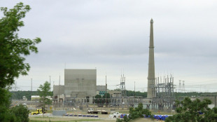 Una central nuclear de EEUU detect&oacute; en noviembre una fuga de agua contaminada